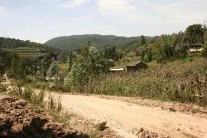 苤菜窪村 苤菜窪村