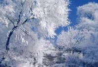 吉林國際霧凇冰雪節 吉林國際霧凇冰雪節