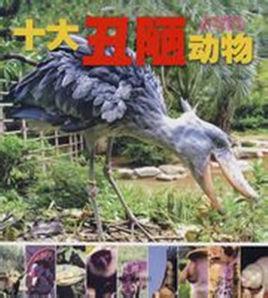 十大醜陋動物 十大醜陋動物