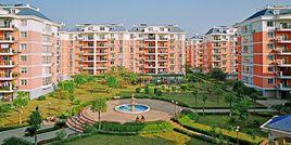 貴港市城鄉規劃局 貴港市城鄉規劃局