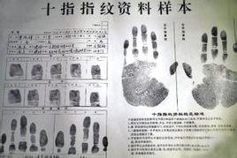 十指指紋登記 十指指紋登記