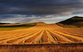 巴吉壘鎮 巴吉壘鎮