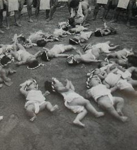 日本水俁病事件 日本水俁病事件