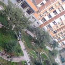 江北中學集資 江北中學集資