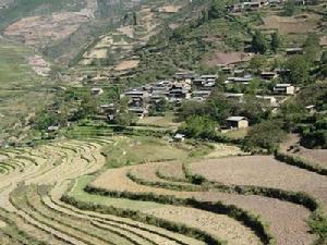 下東登村 下東登村