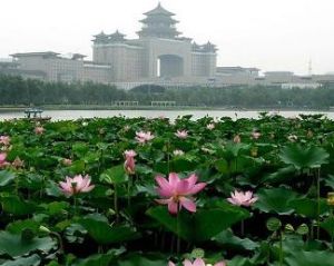 蓮花池[北京市豐臺區燕都蓮花池]