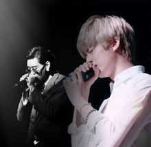 兩小無猜[蔡照、陳秋實演唱歌曲]