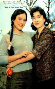 《一樹桃花千朵紅》 《一樹桃花千朵紅》