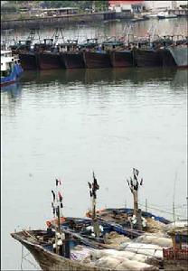 8月4日，船舶紛紛回港避風。