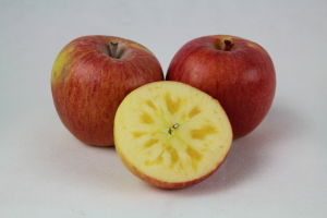 糖心富士 糖心富士