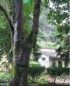 李宗仁故居風水遠景