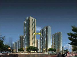 明城東岸 明城東岸