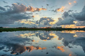 佛羅里達濕地 佛羅里達濕地