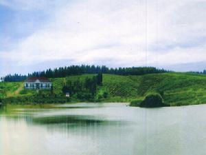 （圖）武家溝鎮