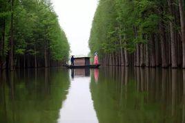 仙桃夢裡水鄉 仙桃夢裡水鄉