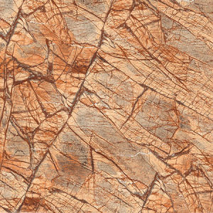 印度雨林啡---X2SC8001