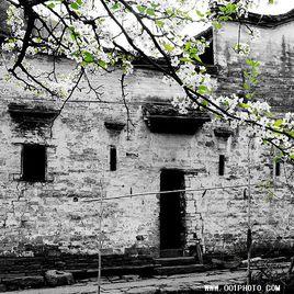 雨打梨花身閉門 雨打梨花身閉門