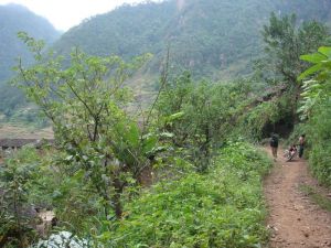上下大平掌村 上下大平掌村