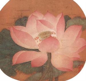 出水芙蓉圖 出水芙蓉圖