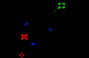 像素坦克戰 像素坦克戰