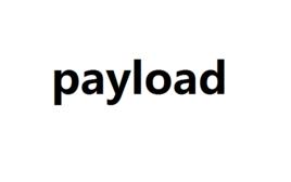 payload payload