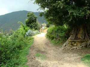 接待寺自然村 接待寺自然村
