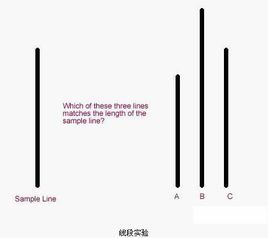 阿希實驗 阿希實驗