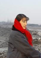 破冰[2008年徐耿導演國產電影]