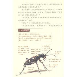 虎甲[《酷蟲學校》系列角色]