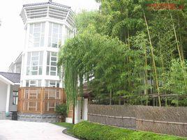 四季草堂 四季草堂