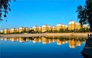 天平街道[山東省泰安市岱嶽區天平街道]