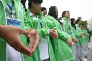 世博小白菜 世博小白菜