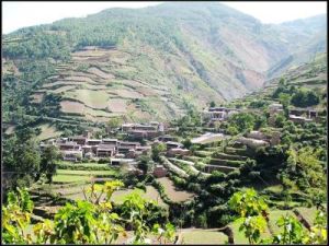 大新田村 大新田村