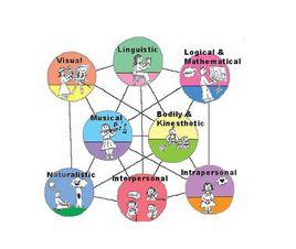 智力適應理論 智力適應理論