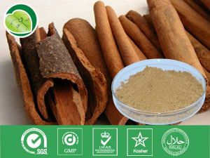 肉桂提取物 肉桂提取物