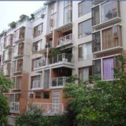 楓林秀色 楓林秀色