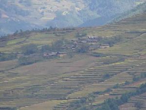 李木村自然村 李木村自然村