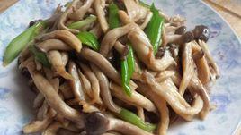 素炒蘑菇 素炒蘑菇