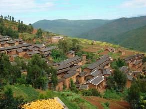 大羅納村 大羅納村