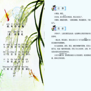 秋日行村路 秋日行村路