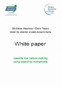 白皮書:運用經濟工具邁向低碳移動