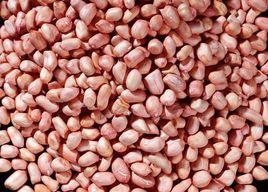 傅家花生 傅家花生