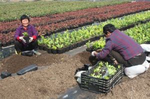 洙橋富民合作社 洙橋富民合作社