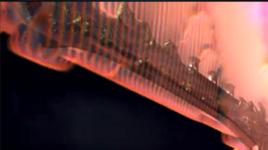 殞天斬星訣 殞天斬星訣