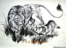 獅子和狼 獅子和狼