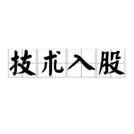 技術入股 技術入股