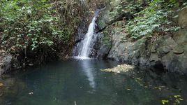 德慶百冊山自然保護區 德慶百冊山自然保護區