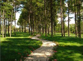 襄河農場 襄河農場