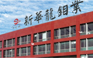 錦州新華龍 錦州新華龍