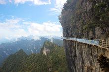 八台山[四川省萬源市八台山]